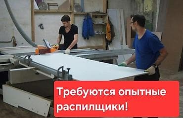 Кесүү: Кесүү, Механикалык кесүү — 1