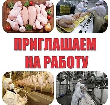 Требуется Упаковщик, Оплата: Дважды в месяц, Без опыта