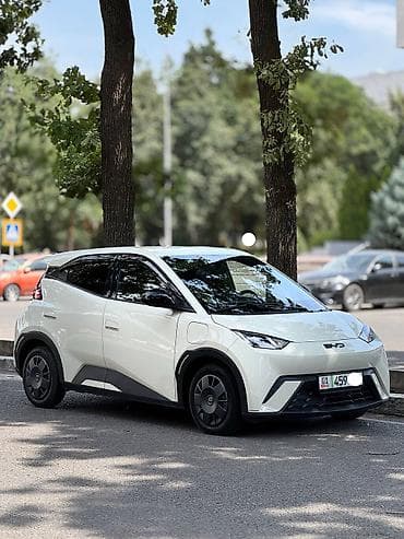 BYD : 2025 г., Электромобиль, Хэтчбэк — 2
