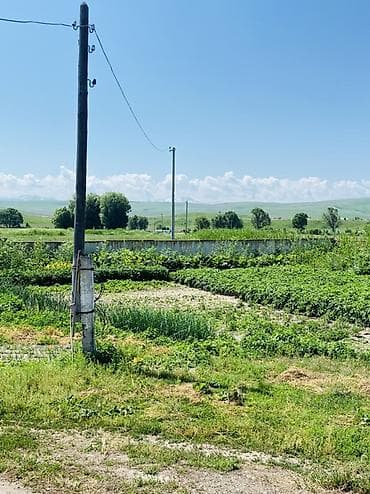 100000: 1000 соток, Для бизнеса, Красная книга — 3