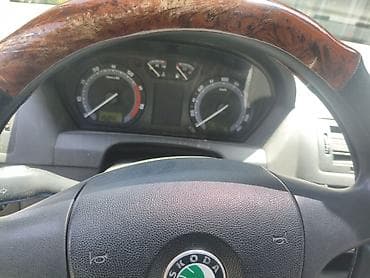 кызыл суу авто: Skoda Fabia: 2006 г., 1.2 л, Кол менен иштөөчү, Бензин, Седан — 5