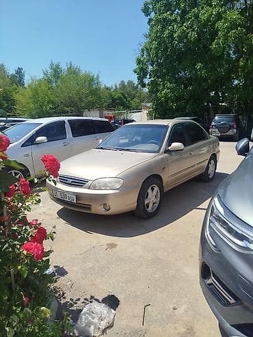фара кия рио: Kia Spectra: 2010 г., Механика, Бензин, Седан — 3