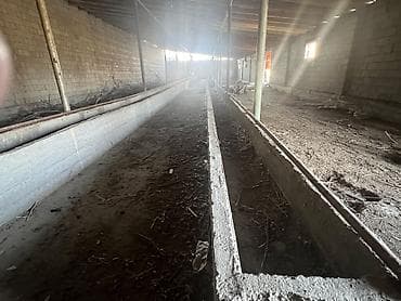 продаж дом ак босого бишкек: Кой короо, 1000 соток, Иштеп жаткан, Жарым-жартылай жабдуулары менен, Электр энергиясы, Муздак суу — 2