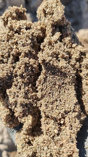 май: Мытый карьерный песок (фракция преимущественно 0–5 мм) 550-600 — 2