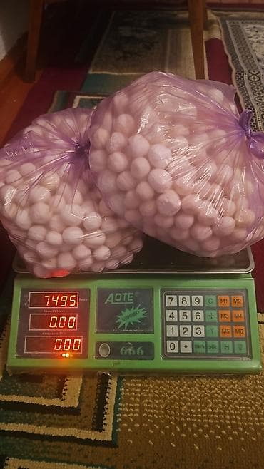 спец одежда военный: Жаны накта курут, сатылат баасы 650 сомдон. Байланыш телефону — 6