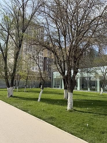 sleep kg: Коммерческое помещение с витринными окнами на первом этаже 123 кВм - — 8