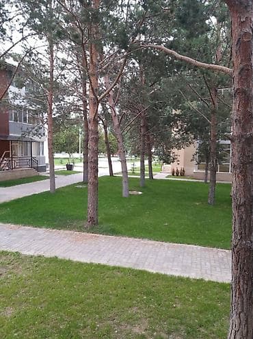 Кыймылсыз мүлк: Ысык-Көлдө ижарага батир, Чок-Тал, 5 орун, Баасы Бир адамга — 1