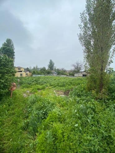 купить участок дом: 9 соток, Для бизнеса, Красная книга — 1