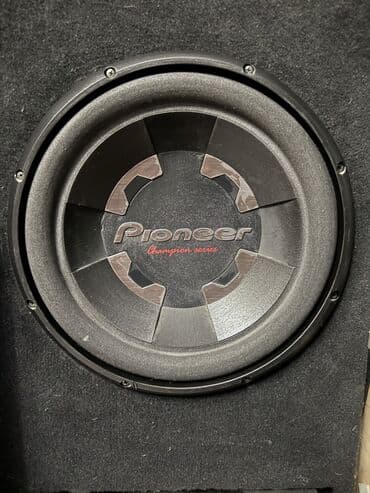 Динамик двух катушечный