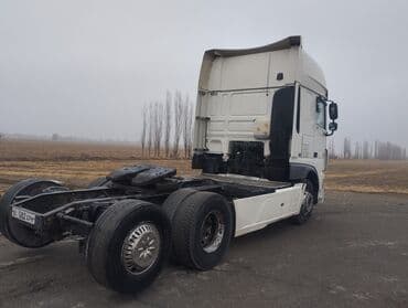 зимные шины 16: Тягач, DAF, 2014 г., Без прицепа — 5