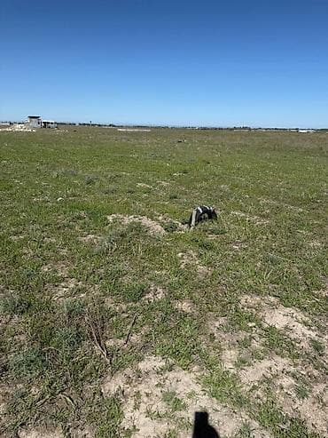 4 соток, Красная книга