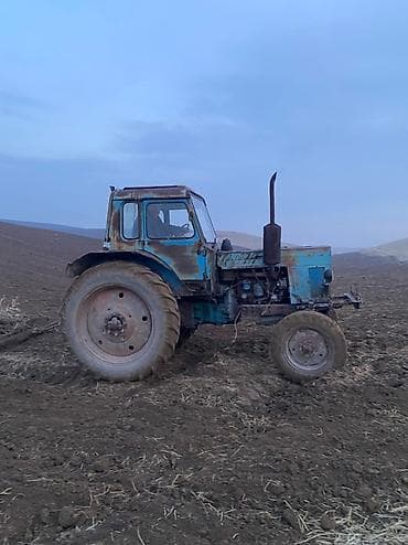 Тракторы МТЗ (Беларус): Трактор колесный МТЗ-50/80 (ориентировочно) с кабиной - Дизельный — 1