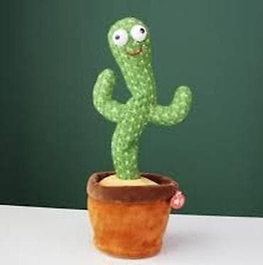 Танцующий кактус