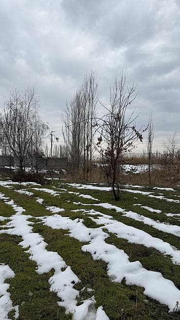 продажа домов в красной речке: 8 соток, Для бизнеса, Красная книга, Договор купли-продажи — 6