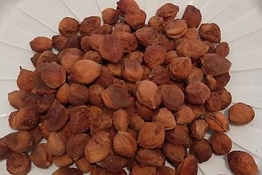 Натуральный кургатылган баткен өрүгү дайнеги менен. Шаар ичинде 100 at lalafo.kg Натуральный кургатылган баткен өрүгү дайнеги менен. Шаар ичинде 100