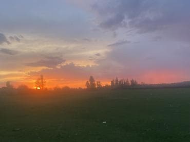 скутар макси: Макси-скутер Yamaha, 150 куб. см, Бензин, Б/у — 7