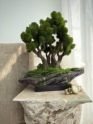 мох стабилизированный: Цены от 1500 сом( указаны на фото) В наличии и на заказ (3-7 дней) — 1