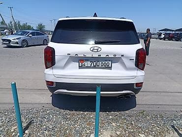 подсветка в салон авто: Hyundai Palisade: 2019 г., Кроссовер — 4