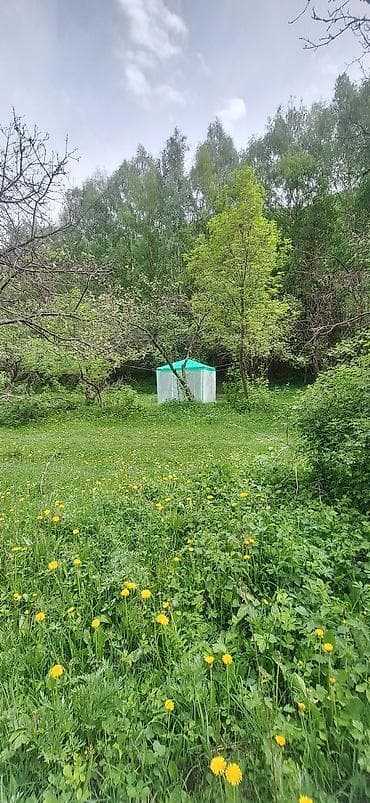 солнечные фанари: Аренда юрты, Каркас Металлический, 55 баш, Посуда — 5