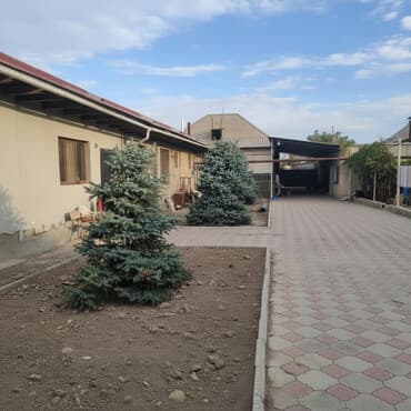 стоимость газонокосилки: Саженцы деревьев: Ели, Самовывоз — 1