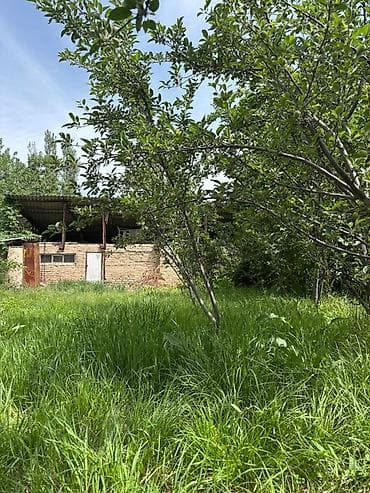 amir city: Продаётся земельный участок с домом и хозяйственными постройками. 🌿 — 7