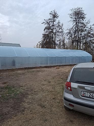 мебель бишкек спальный гарнитур: Озгондо теплица сатылат узуну 20 м.турасы 8 м — 2