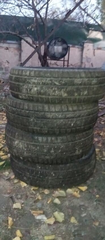 Масло для трансформаторов: Шины 205 / 65 / R 16, Зима, Б/у, Комплект, Легковые, Kapsen — 1