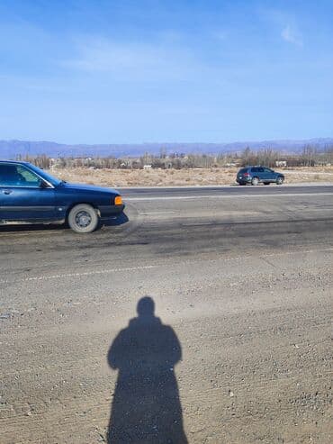 дом чон сары ой: 2 соток, Красная книга — 4