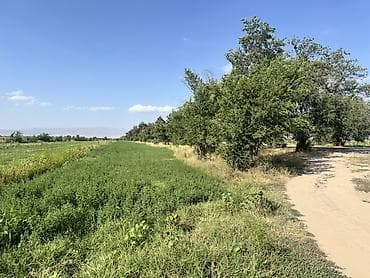 Продажа участков: 420 соток, Для сельского хозяйства — 3