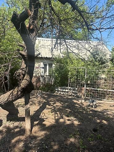 от базар: 5 соток, Для бизнеса, Красная книга — 3