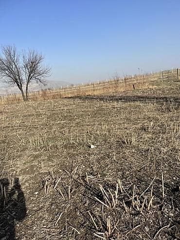 участок гулчо: 8 соток, Красная книга — 3