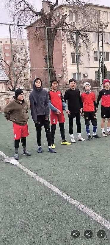 чатырлар: Репетитор — 6