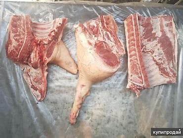 один штук: Свинина, разделка на части. Предлагаются свинина домашнее ляжки — 2