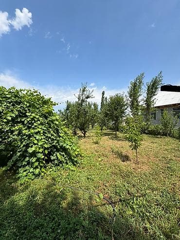 Үйлөр: ‼️🏡 ПРОДАЁТСЯ ДОМ С БОЛЬШИМ УГЛОВЫМ УЧАСТКОМ! 🏡‼️ 📍 с. Токбай, ул — 10