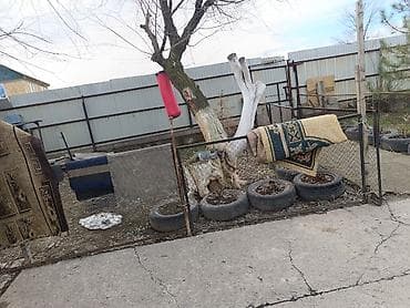 су дача: Дом, 100 м², 5 комнат, Собственник, Старый ремонт — 3