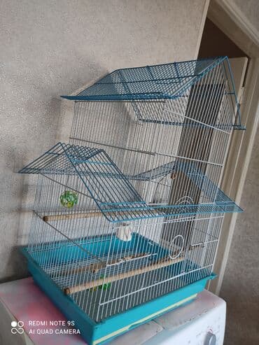 вольер для волнистых попугаев: Продам клетку для птиц с выдвижным поддоном + игрушки для птиц, в — 2