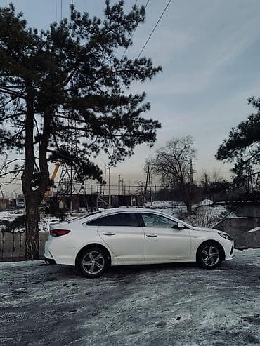 Hyundai Sonata: 2018 г., 2 л, Газ