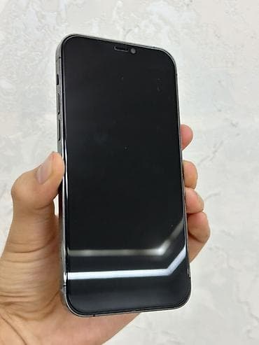 psp 4: IPhone 12 Pro 256GB — Silver / «Мокрый асфальт» 🇺🇸 Модель: iPhone 12 — 2