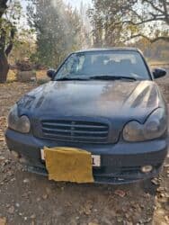 дополнительное освещение на авто: Hyundai Sonata: 2004 г., 2 л, Механика, Бензин, Седан — 5