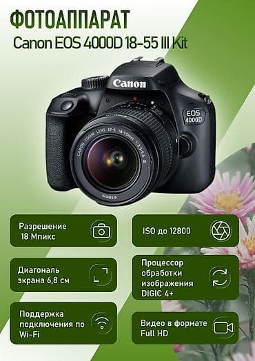 Графический дизайнер