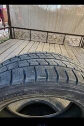 кой кыркыч: Продаю | Жеребенок | Для разведения | Племенные — 3