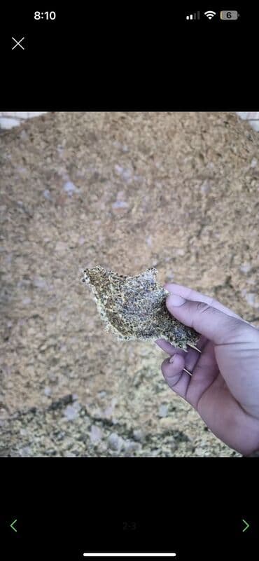 товары для животных: Пахта кунжара
Хлопковое жмых — 4