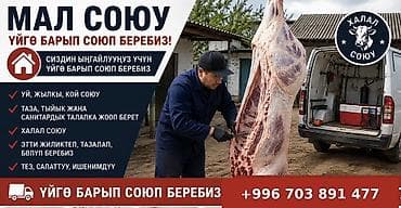 оформление мероприятий бишкек: Мал союу станок менен кесүү — 1