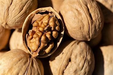 очищенный орех: Грецкие орехи в скорлупе - Цельные орехи с плотной, светлой скорлупой — 1