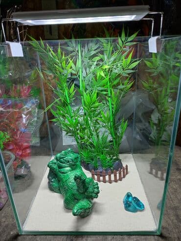 аквариумная рыбка: Подарочные аквариумы с оформлением. А также возможность самому создать — 2