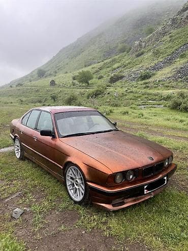 BMW 5 series: 1993 г., 3 л, Механика, Бензин, Седан