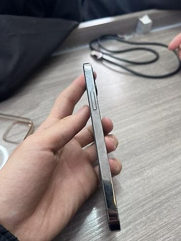 ipad 5 mini: IPhone 12 Pro, Б/у, 128 ГБ, Графит, Кабель — 1