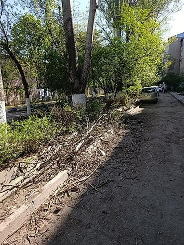 империя пиццы аламедин 1: Дрова Самовывоз — 4