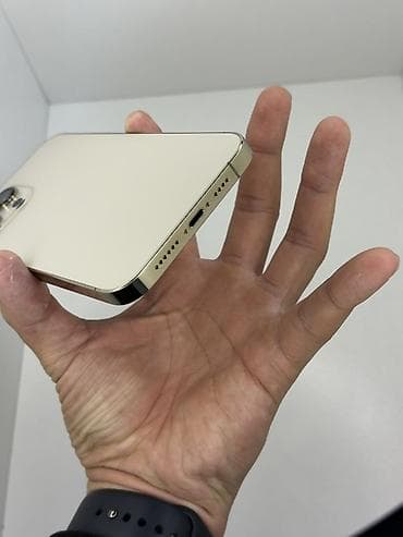 amazon kindle бишкек: IPhone 13 Pro Max, Колдонулган, 128 ГБ, Алтын, 86 % — 9