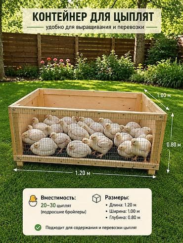 дом для кур: Продаю курятник (брудер) для выращивания цыплят. РАЗМЕР: ДЛИНА 1МЕТР — 1